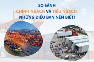 So sánh tiểu ngạch và chính ngạch